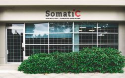 Somatic-head-office